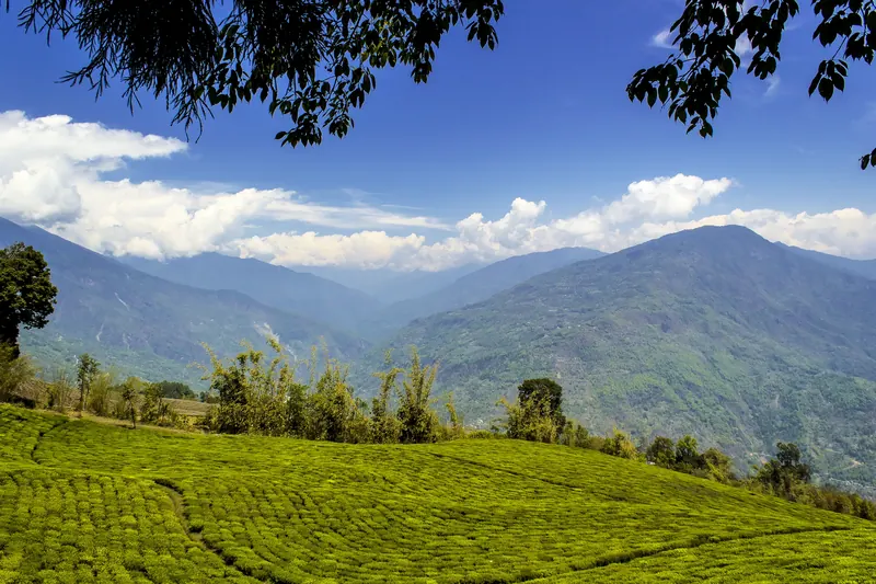 5 Days / 4 Nights – Darjeeling Offbeat Experience