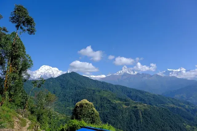 4 Days / 3 Nights – Darjeeling & Kalimpong Retreat